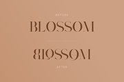 Type Prodigy - serif logo font, a Serif Font by VP Fonts (Thumbnail 3 of 24)