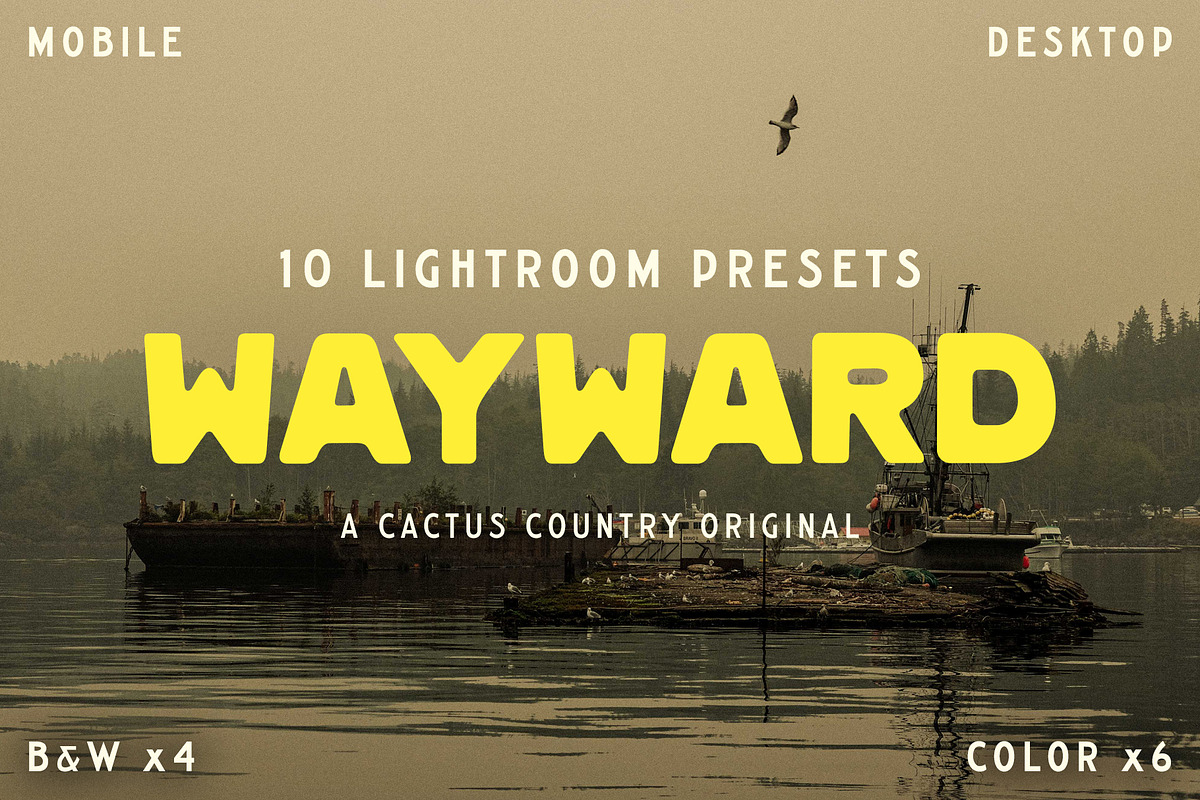Wayward Lightroom Presets, a Brushes & More by Cactus Country (Photo 1 of 11)