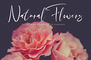 Great Britain, a Script Font by pineungtype (Thumbnail 4 of 9)