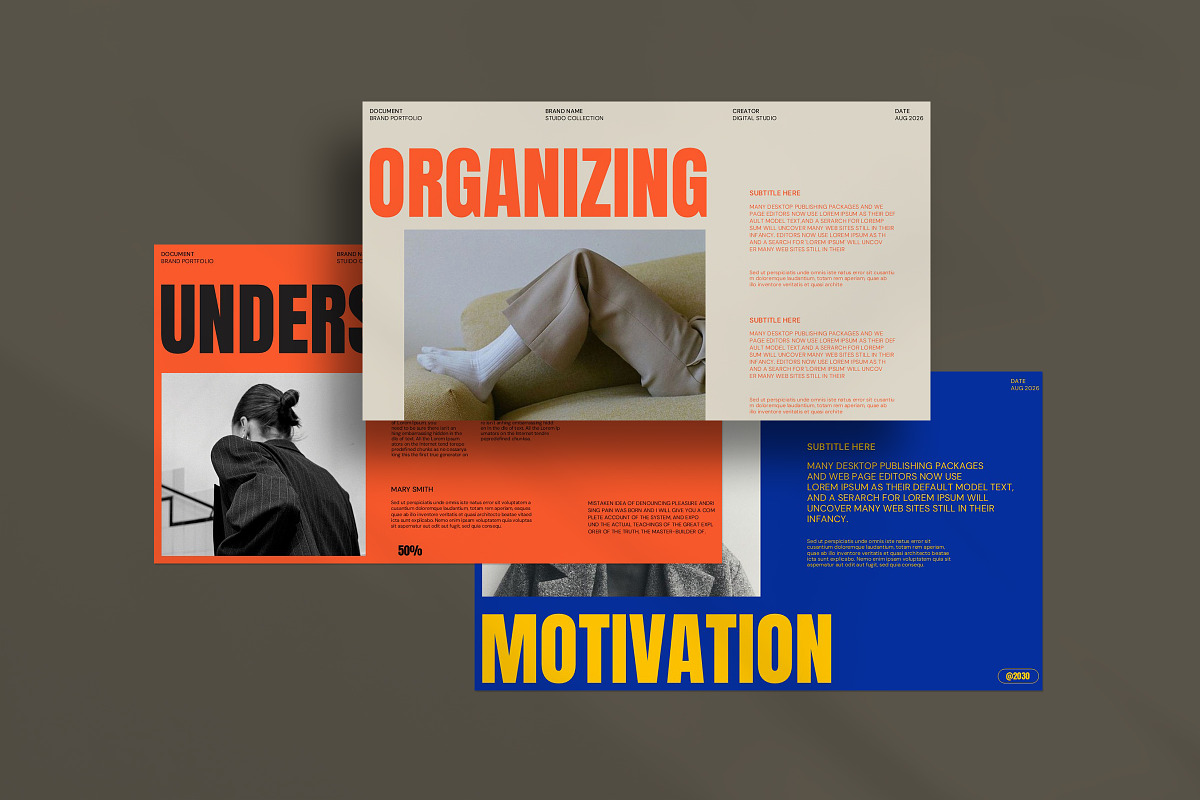 Brand Portfolio Presentation preview 3