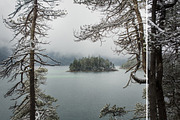 MILLION OF GREEN-Set of 20presets Lr, an Action Add-On by Graphics, Presets, Photos (Thumbnail 5 of 21)