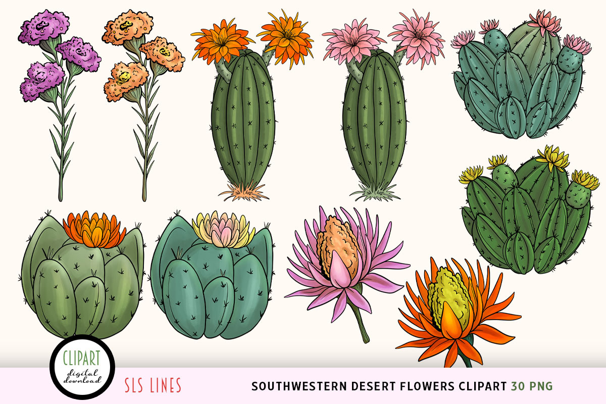 Southwestern Desert Flowers Clipart, a Decorative Illustration by SLS Lines (Photo 4 of 6)