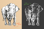 Dotwork Endangered Animals, an Animal Illustration by nordicworker (Thumbnail 5 of 5)