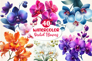 Watercolor Orchid Clipart, an Illustration by Dream Creation