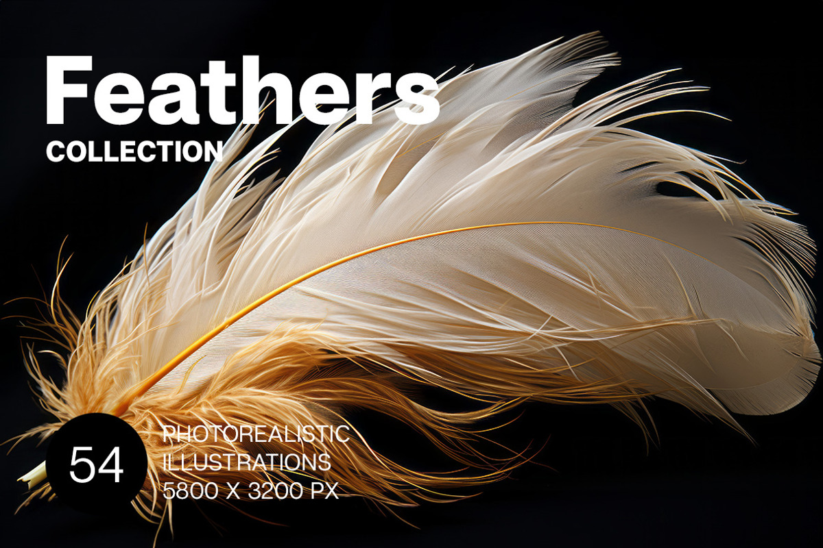 Feathers. 54 images, an Animal Illustration by Handmadefont (Photo 1 of 12)