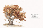 An Autumn Forest Chapter Collection, an Animal Illustration by PeDe Designs (Thumbnail 26 of 29)