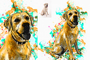 Mix Media Manipulation PS Action, an Action Add-On by MRI STUDIO (Thumbnail 5 of 14)