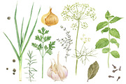 Herbs and spices watercolors, a Healthcare Illustration by handsketched (Thumbnail 2 of 6)