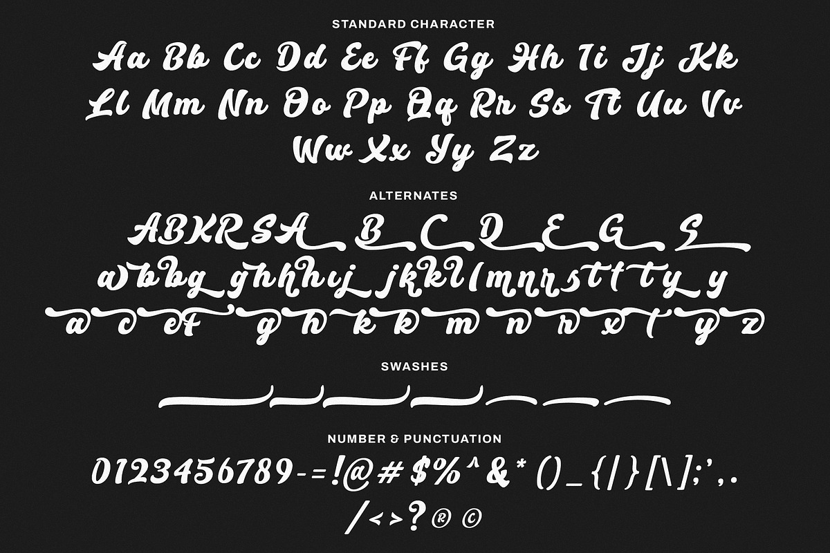Silver Black –  Logotype Font, a Script Font by Lettersiro (Photo 9 of 9)