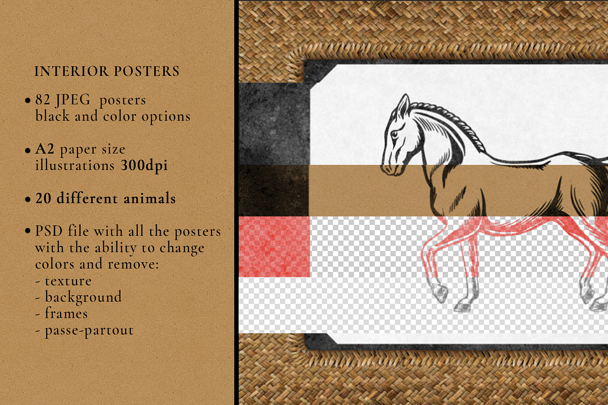Colonial style Animals posters, an Animal Illustration by Garden in frame (Photo 2 of 11)