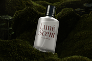 Family Luxury Font - Actrist Stylish, a Serif Font by Font Liner (Thumbnail 8 of 10)