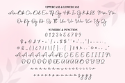 Beauty | Script Font, a Handwritten Font by Scratchones (Thumbnail 7 of 9)