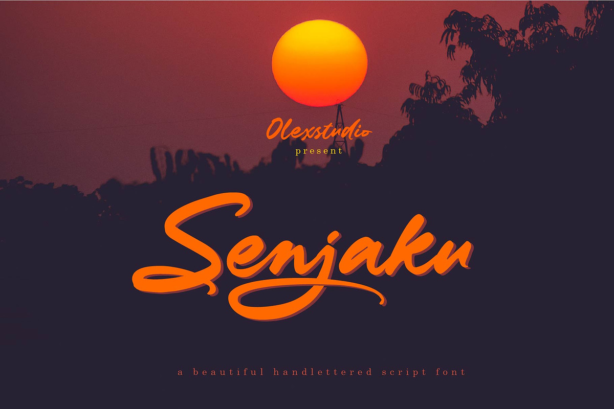 Senjaku - Handlettered, a Script Font by Olexstudio (Photo 1 of 8)