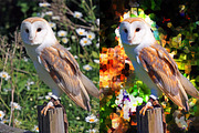 Glass Glow Photoshop Action, an Action Add-On by KiraYamato Design Studio (Thumbnail 3 of 12)