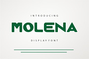 Molena, a Serif Font by Fourteen Letter (Thumbnail 1 of 7)