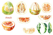 Watercolor tropical fruits., an Illustration by TaPilipa (Thumbnail 33 of 39)