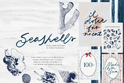 Seashells vector illustrations frame, an Object Graphic by Yuliya Derbisheva (Thumbnail 1 of 13)