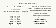 Certa Serif, a Serif Font by Glen Jan (Thumbnail 8 of 12)