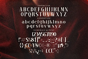 Ruadson Modern Serif Font, a Serif Font by Storytype Studio (Thumbnail 13 of 15)