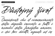 TT Disruptors, a Script Font by TypeType (Thumbnail 8 of 12)