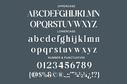 Ralrest - Modern Bold Branding Serif, a Serif Font by Qweera Studio (Thumbnail 12 of 12)