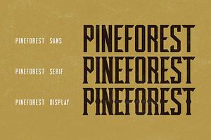 Pineforest - Classic Condensed Font