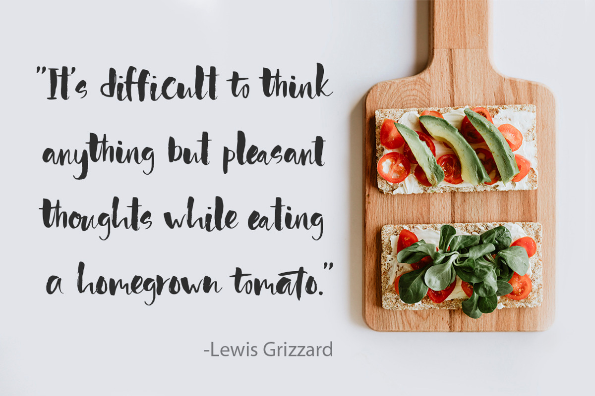 Red tomato. Script font. preview 2