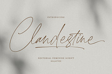 Clandestine Script