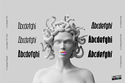 Longtype. Sans Serif font family., a Sans Serif Font by Luxfont (Thumbnail 4 of 8)