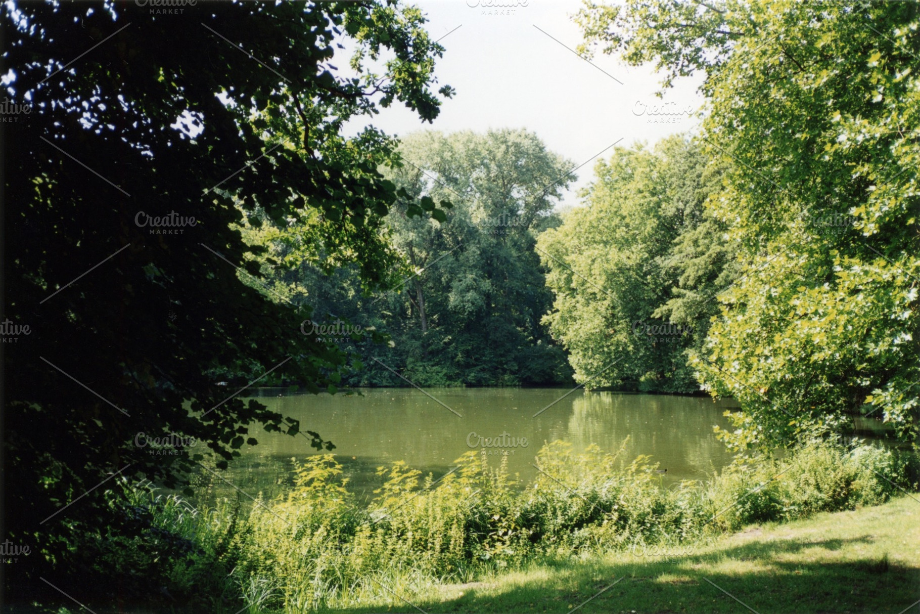 Tree lined lake pond natural landscape, a Photo by WorldOfPhotos