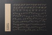 Regality - Luxury Romance Script, a Script Font by Bale Type (Thumbnail 10 of 10)