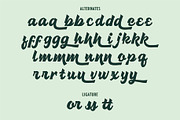 ATHLANTIK - Bold Script, a Script Font by Havinkpen (Thumbnail 8 of 8)