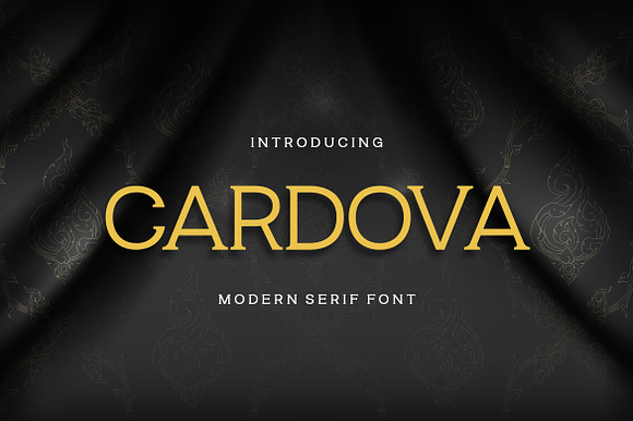Cardova Modern Serif Font preview 7