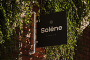 olive – Modern and minimal Sans, a Sans Serif Font by Webhance Studio (Thumbnail 9 of 13)
