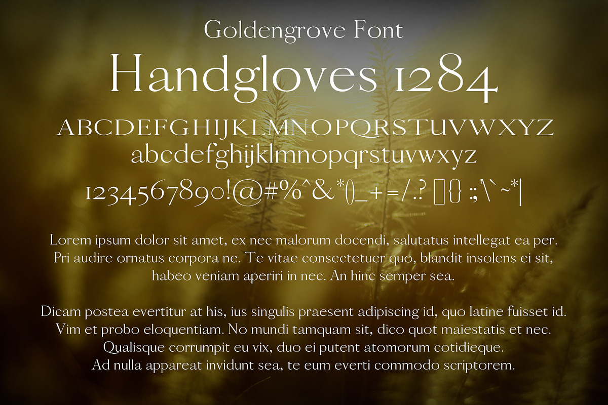 Goldengrove Font preview 2