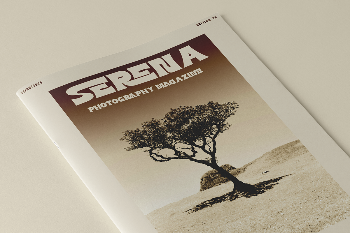 Mashle - Unique Sans Font, a Sans Serif Font by Font Liner (Photo 6 of 13)