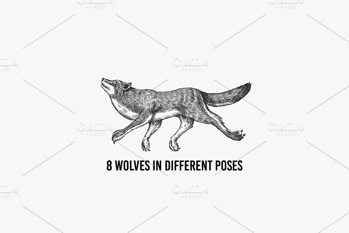 Big set bundle. Animals fox, wolf, an Animal Illustration by Arthur Balitskiy (Photo 5 of 9)