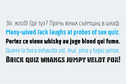 Rawer CondensedBold, a Sans Serif Font by Gaslight (Thumbnail 5 of 5)