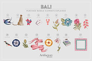 Bali PNG Element Bundle, an Animal Illustration by Artifactory Studios (Thumbnail 4 of 7)