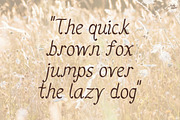 Golden Breeze | Handwriting font, a Handwritten Font by LivelyAutumn11.11 (Thumbnail 4 of 5)