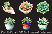 Succulent Watercolor Cliparts, an Illustration by RobertsArt (Thumbnail 4 of 7)