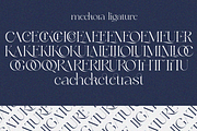 Meckora, a Serif Font by zaaintype (Thumbnail 5 of 10)