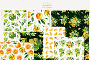 Tangerine Watercolor Collection, a Wallpaper Graphic by Natasha Koltsova (Thumbnail 6 of 7)