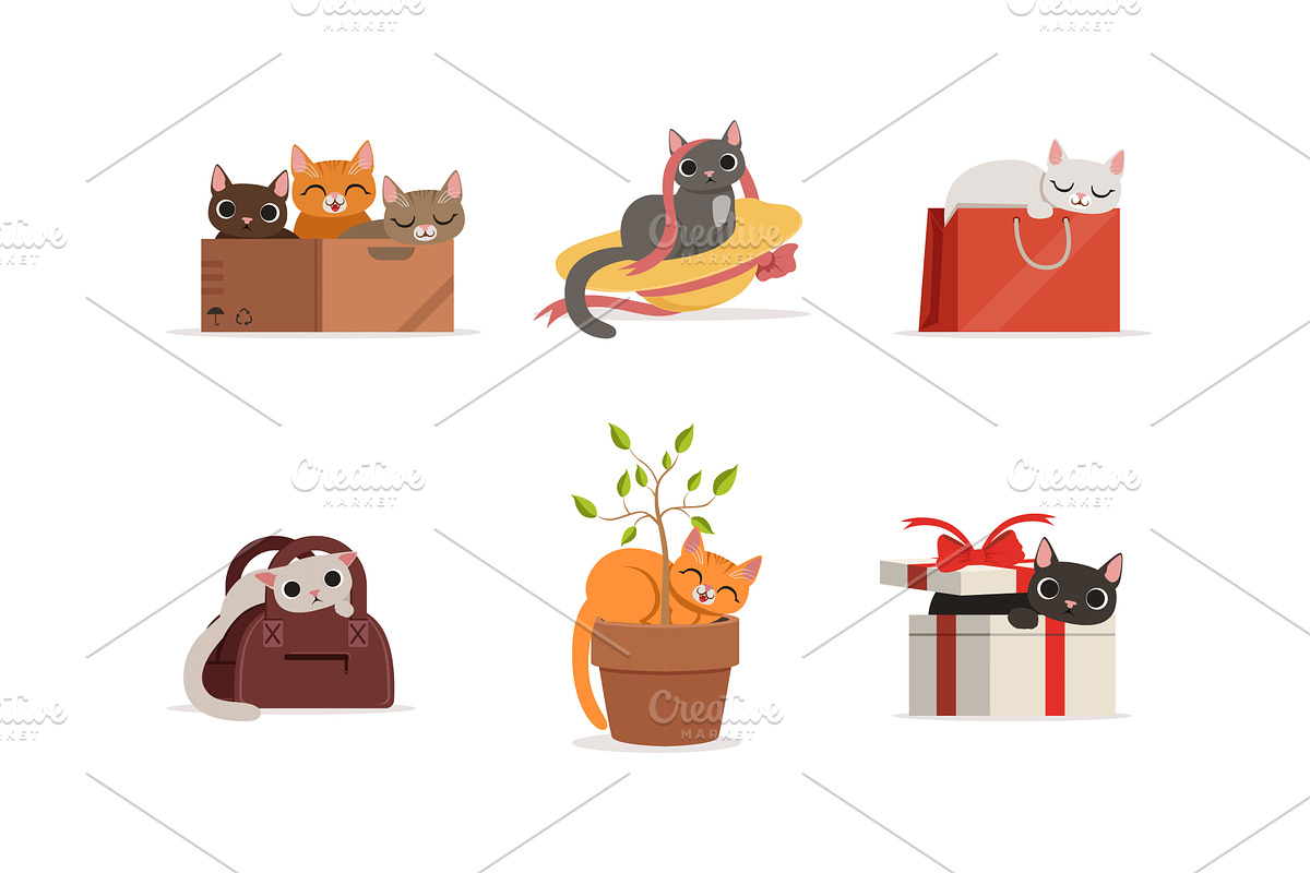 Different Domestic Cats Hiding and, an Animal Illustration by TopVectors