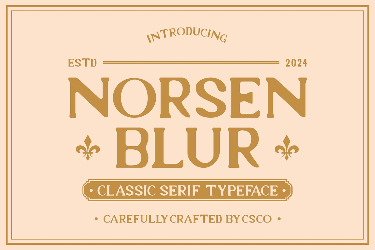 Norsen Blur, a Sans Serif Font by Craft Supply Co. (Photo 1 of 8)