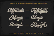 Marion 5 Font, a Script Font by Secondivison Supply (Thumbnail 5 of 11)