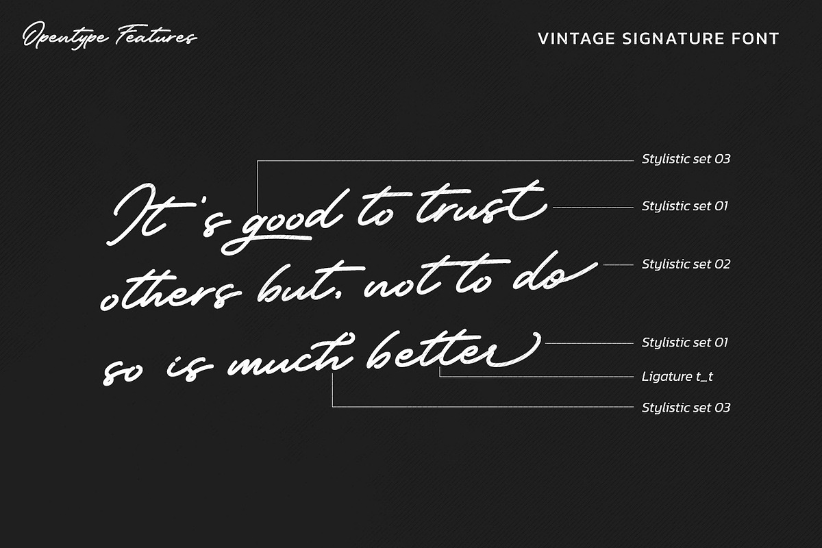 Vintage Signature, a Script Font by Vintage Division (Photo 8 of 10)