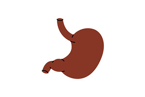 Stomach. Human internal organ, a Healthcare Illustration by GraphiShop