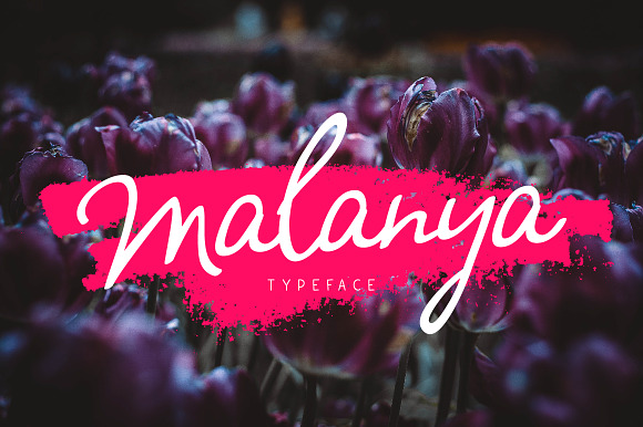 Malanya Typeface preview 7