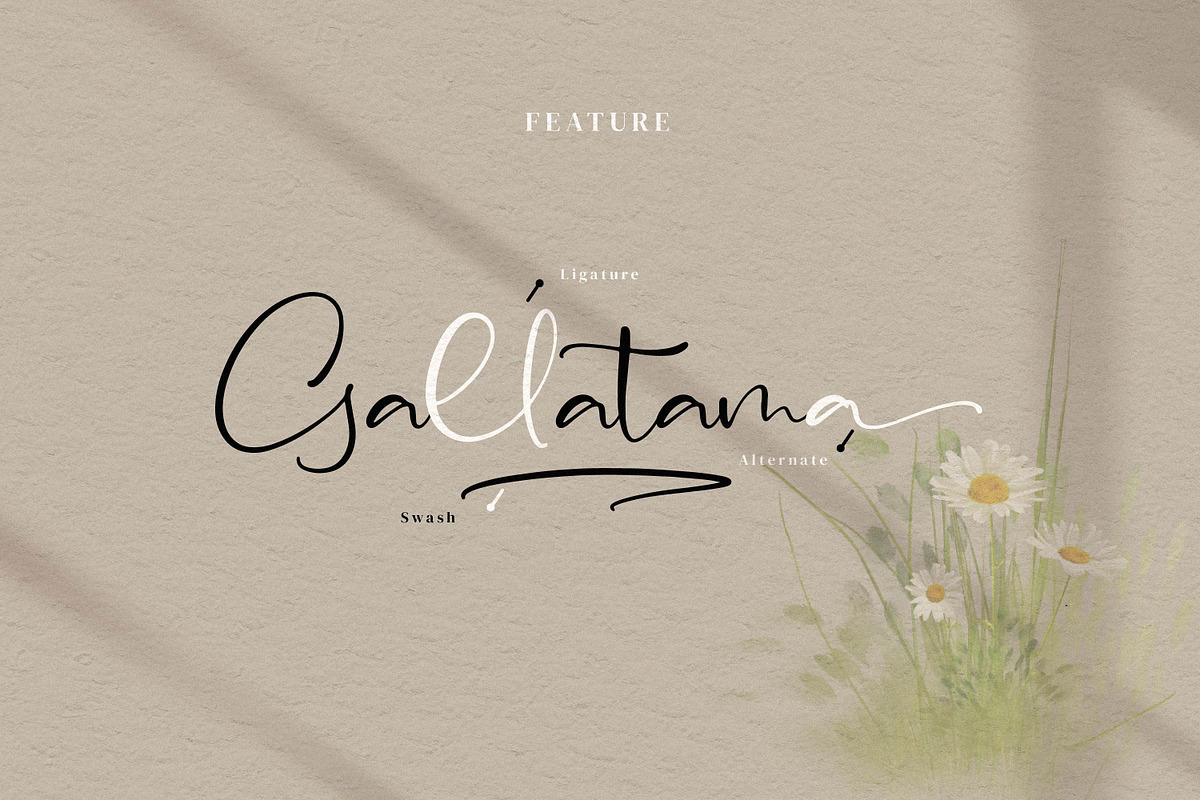 Asmeralka, a Script Font by Integritype Studio (Photo 13 of 14)